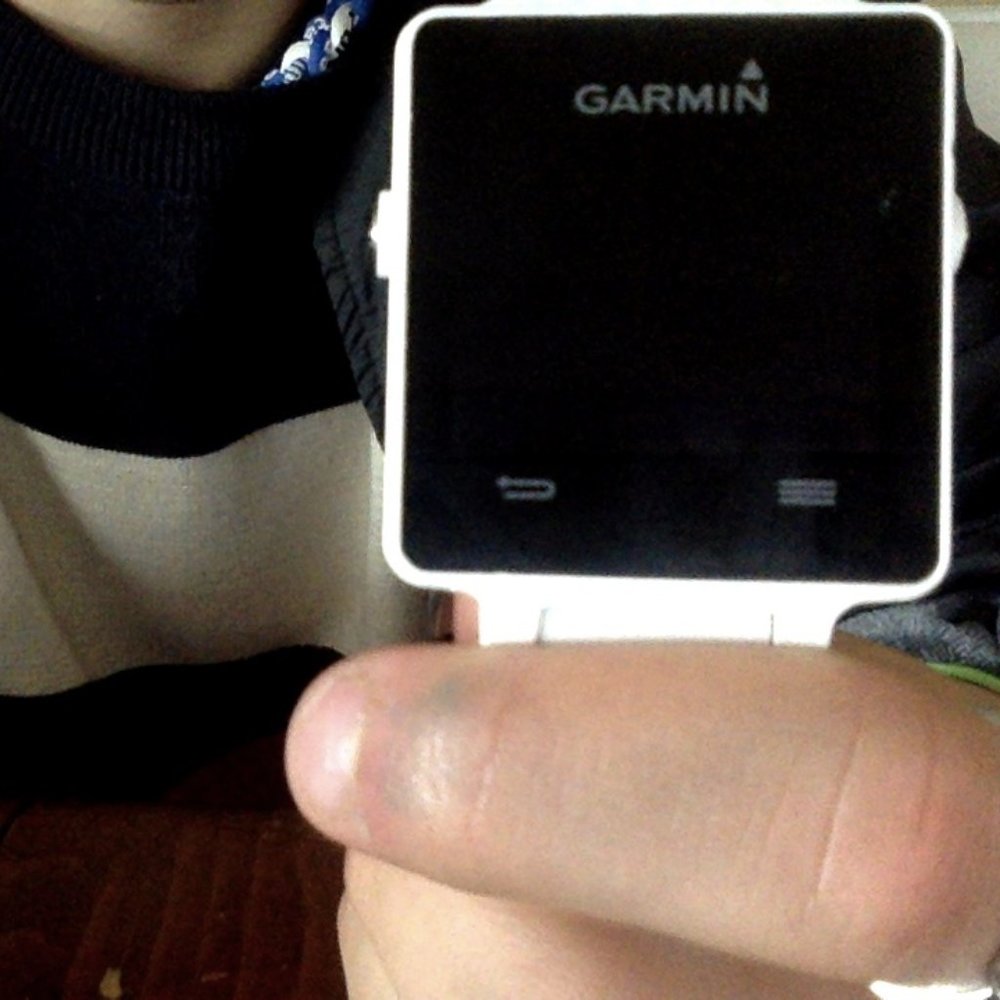 garmin ,vivo active